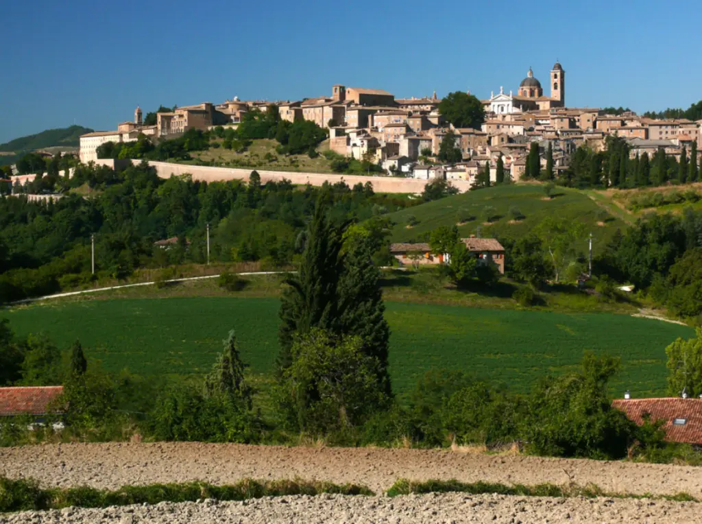 Urbino 