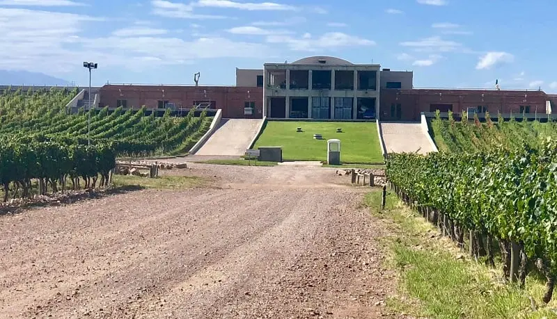 Visita a bodega Monteviejo em Mendoza