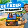 O que fazer em Porto de Galinhas!