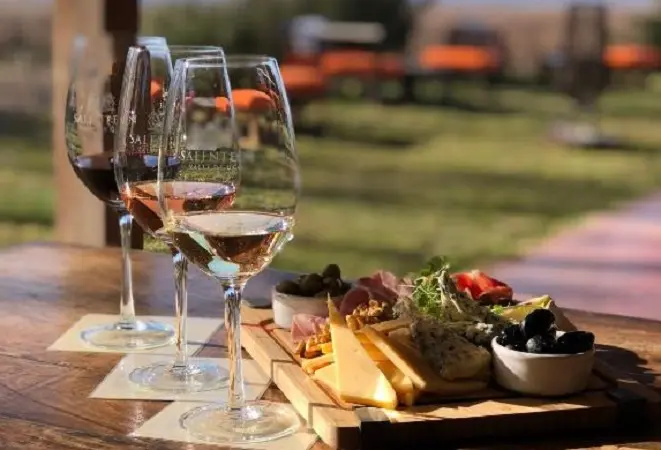 Bodega Salentein próxima a Mendoza