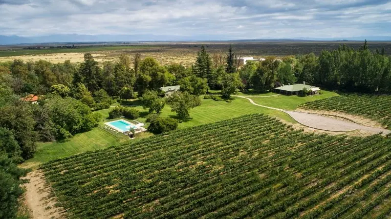 Bodega Salentein: Vinhedos