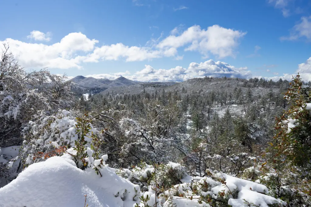 Inverno em San Diego