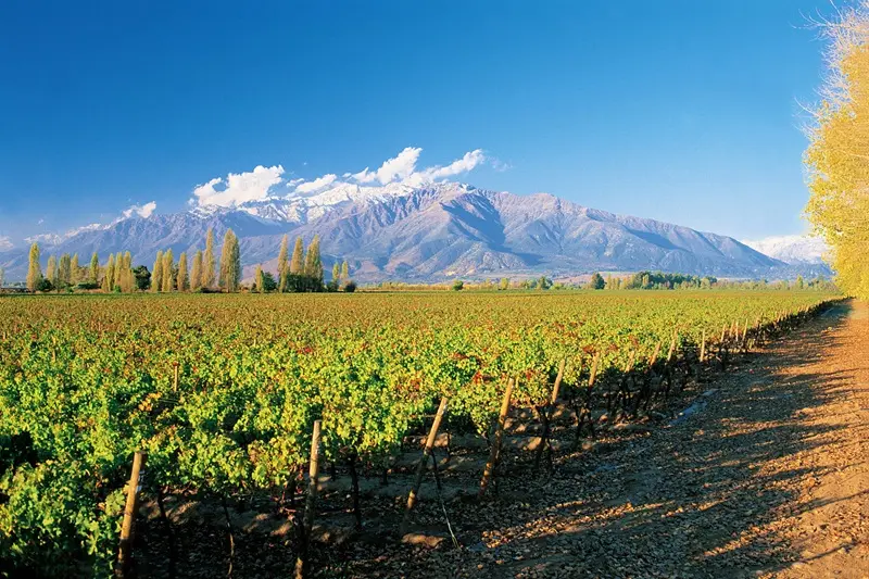 Região do Valle del Maipo no Chile