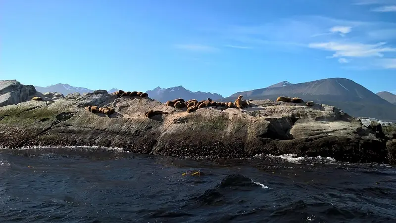 Canal Beagle em Ushuaia