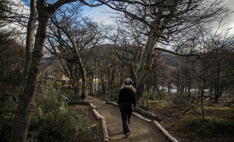  Parque Nacional Tierra del Fuego em Ushuaia