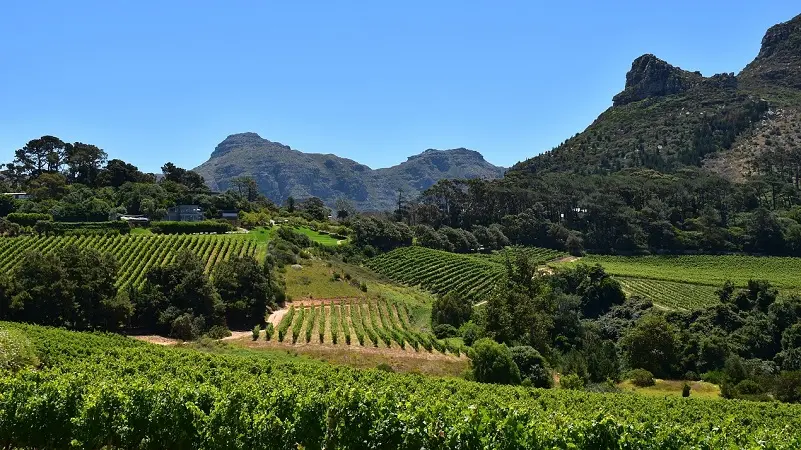 A rota dos vinhos em Mendoza