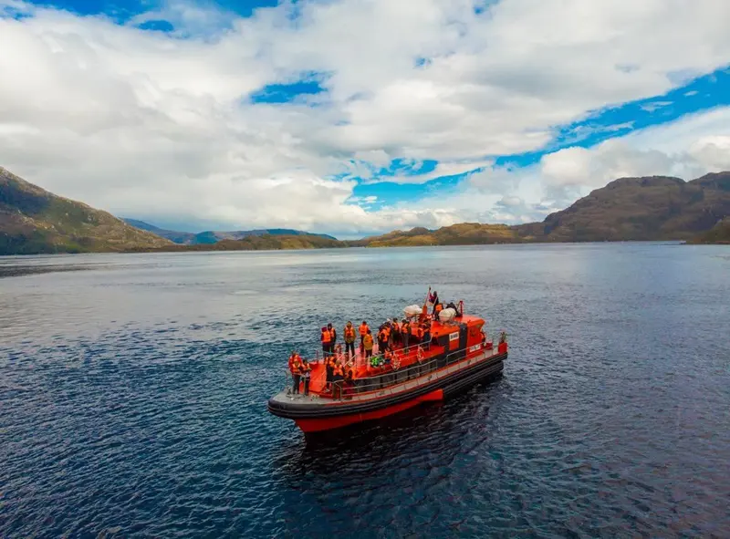 Tour do avistamento de baleias saindo de Punta Arenas