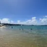 Praia do Gunga: Passeio imperdível em Maceió!