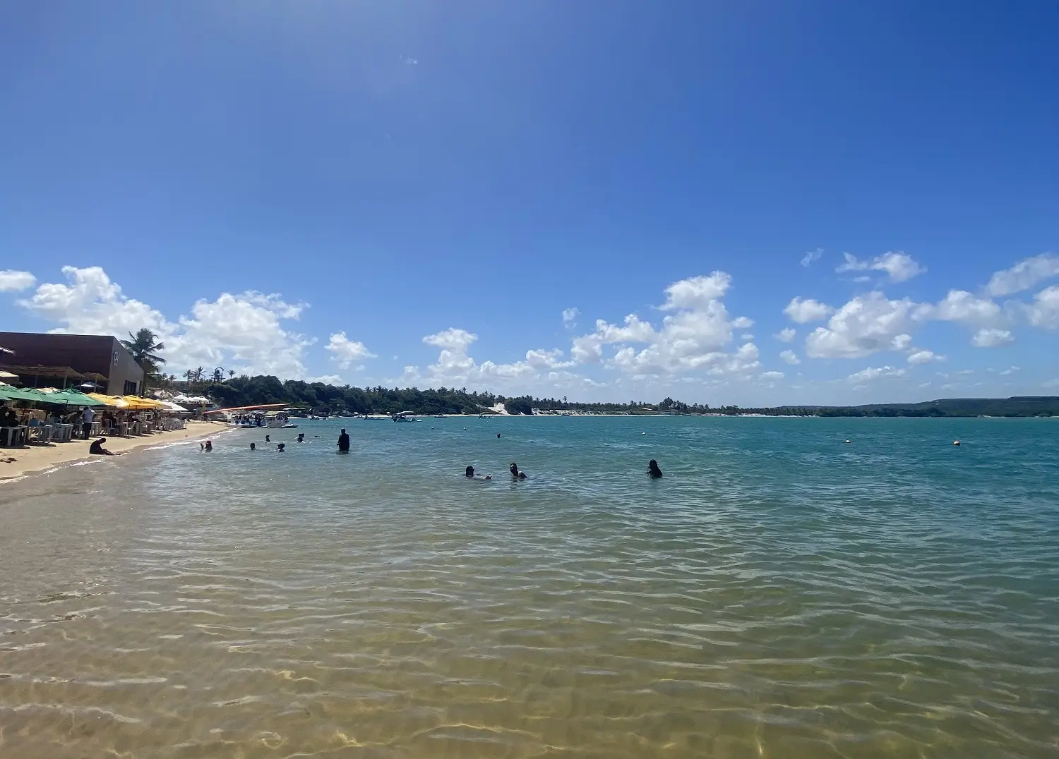 Praia do Gunga: Passeio imperdível em Maceió!