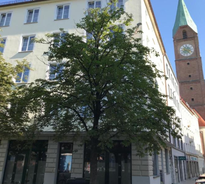 Hotel Der Tannenbaum