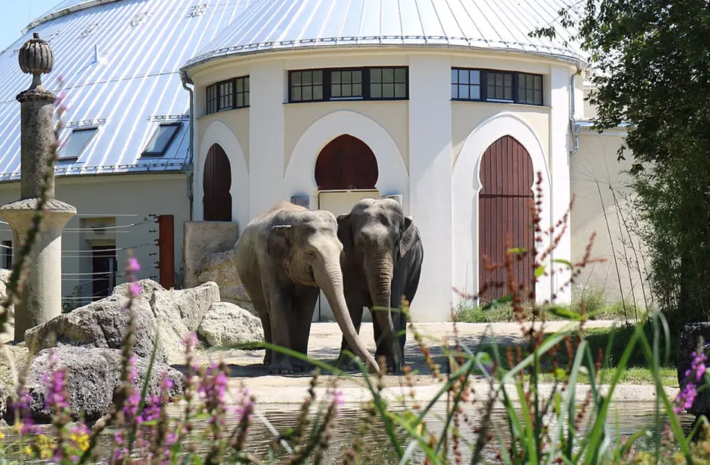 Zoológico de Munique