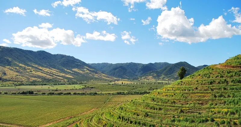 Região do Valle de Colchagua no Chile