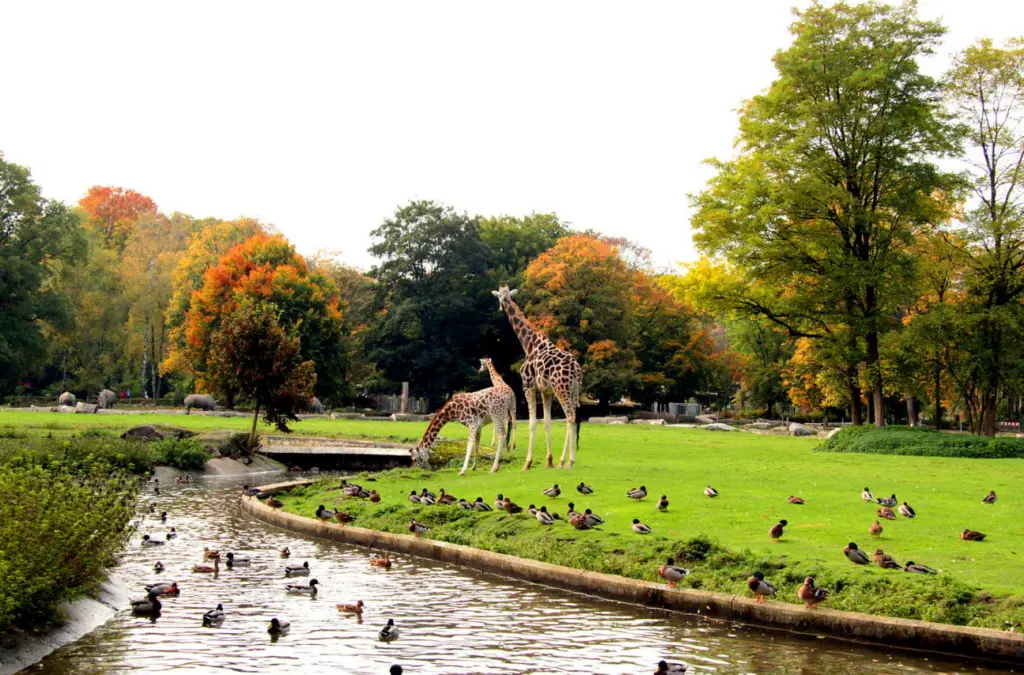 Zoológico de Augsburg