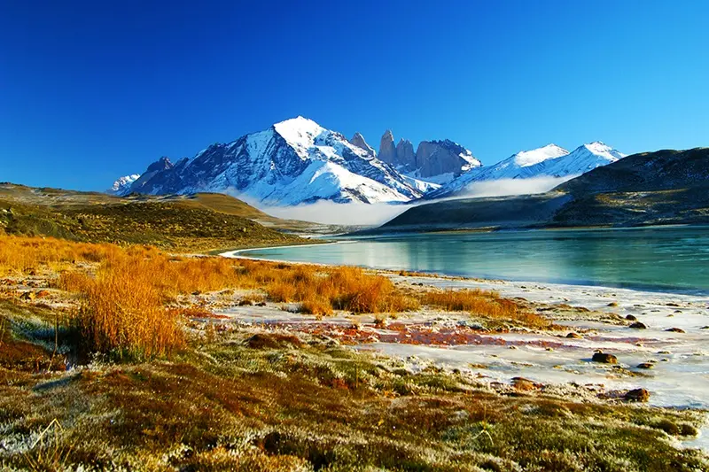 Vegetação avermelhada no Parque Torres del Paine no outono