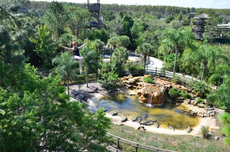 Tirolesa no Gatorland em Orlando