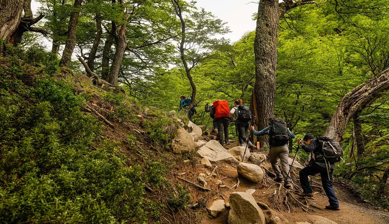 Trekking à base das Torres del Paine: saindo de Puerto Natales