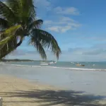 Onde ficar em Maragogi? Melhor bairro e hotéis