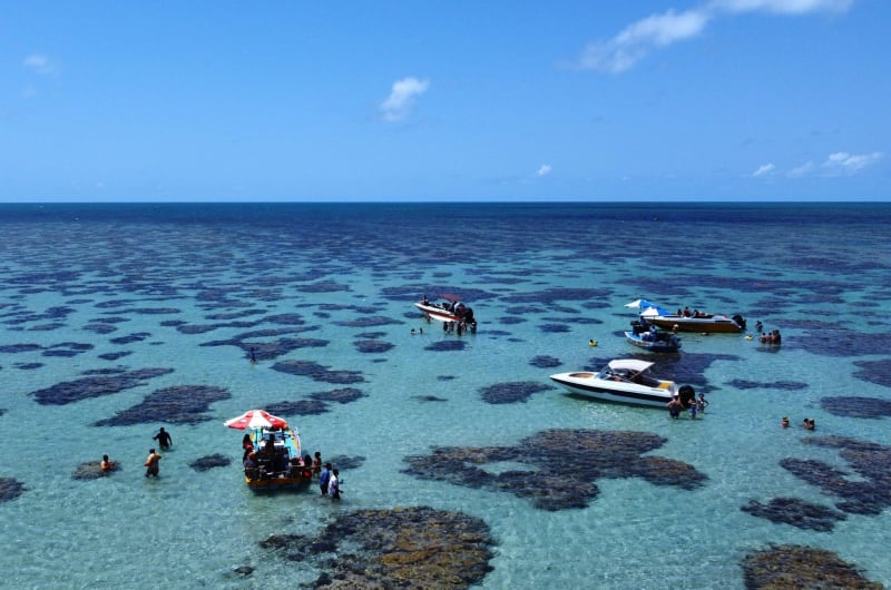 Parrachos do Rio do Fogo no Rio Grande do Norte