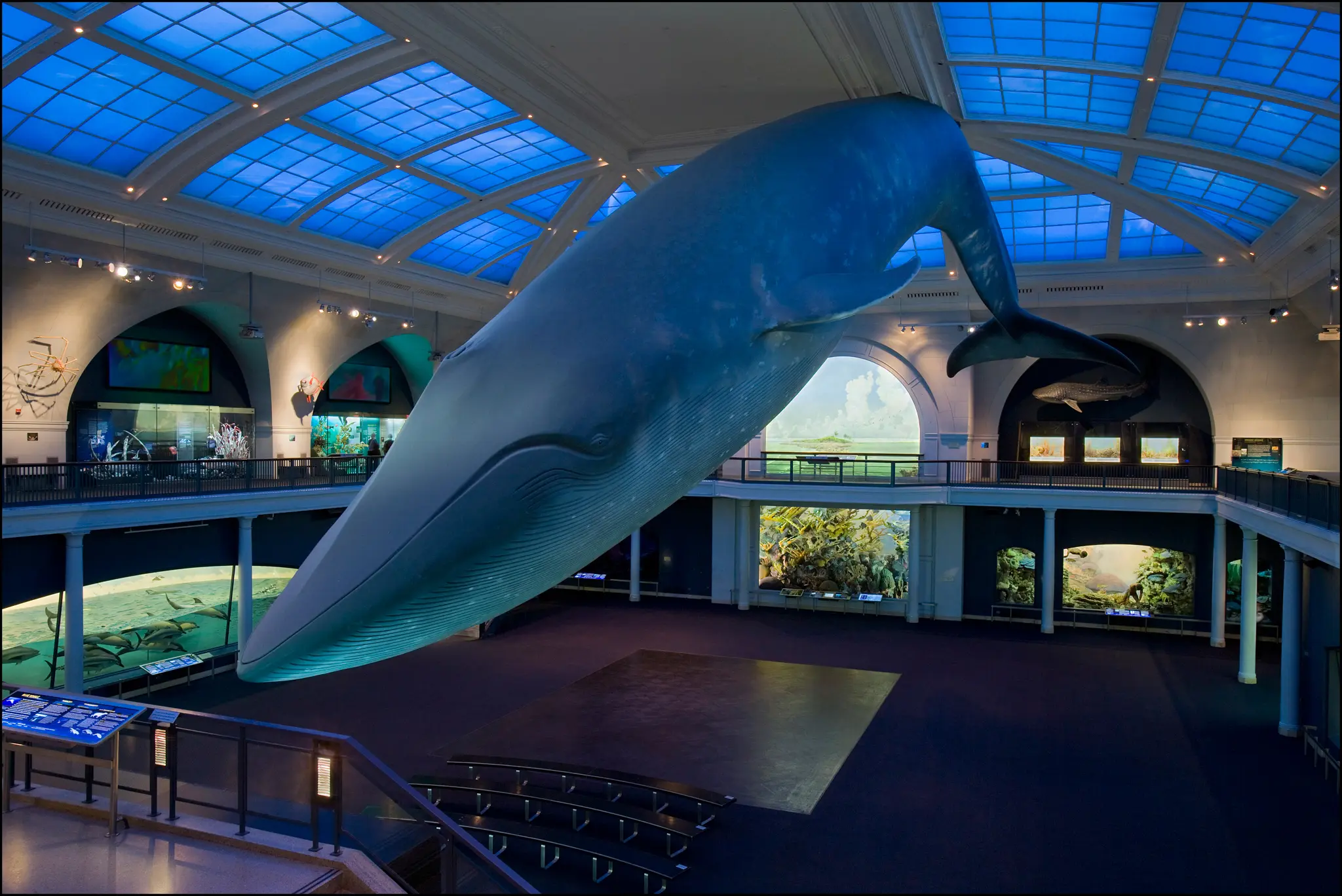 Visita ao Museu de História Natural em Nova York