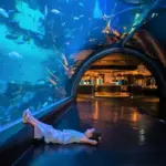 6 passeios para fazer com crian&ccedil;as em Phuket