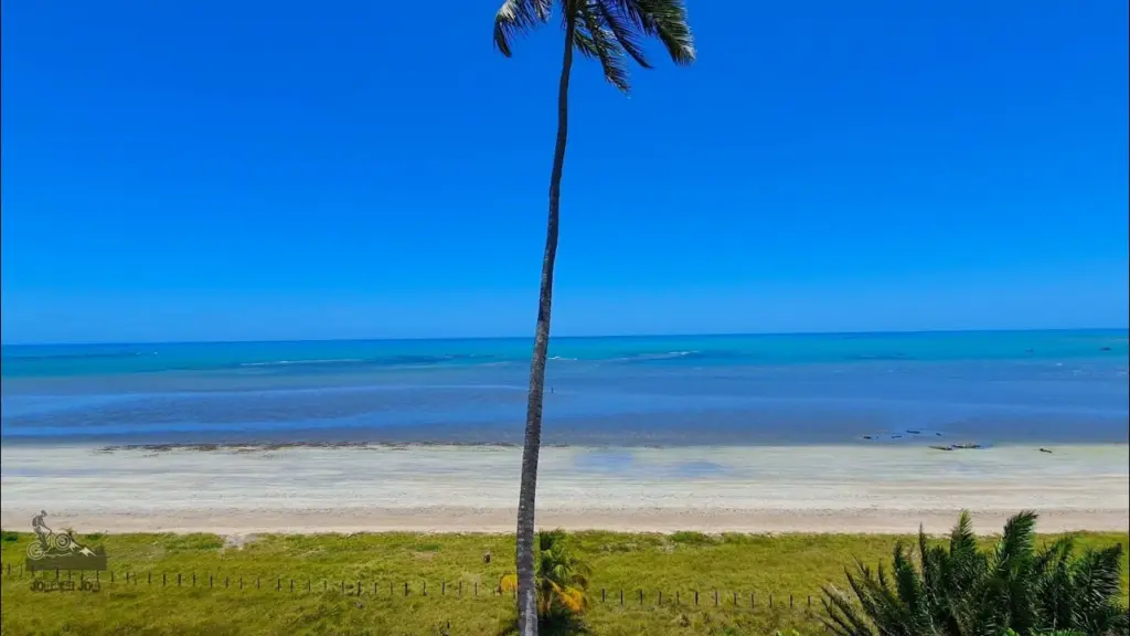 Praia do Camacho em Maragogi