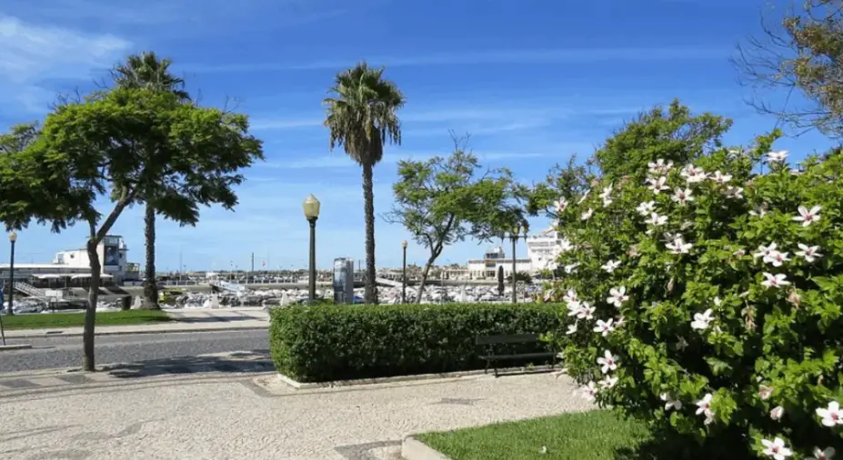 Jardim Manoel Bivar