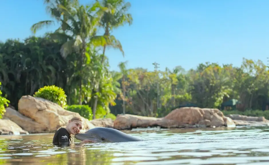 Nado com golfinhos no Discovery Cove