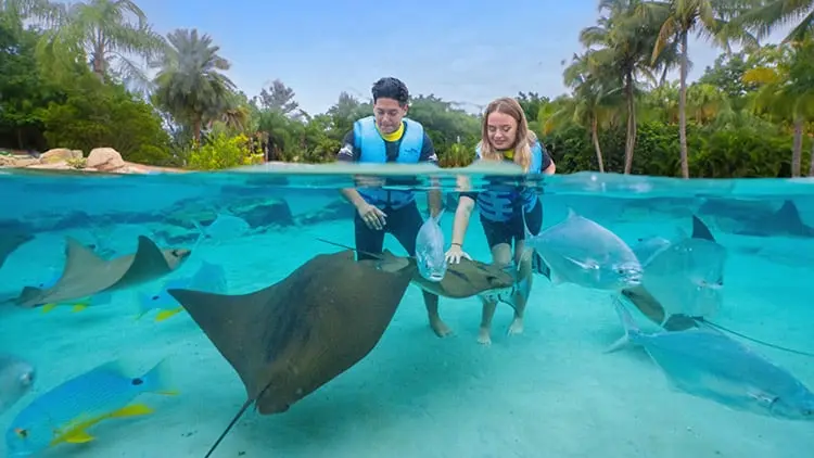 Mergulho com arraias no Grand Reef no Discovery Cove em Orlando