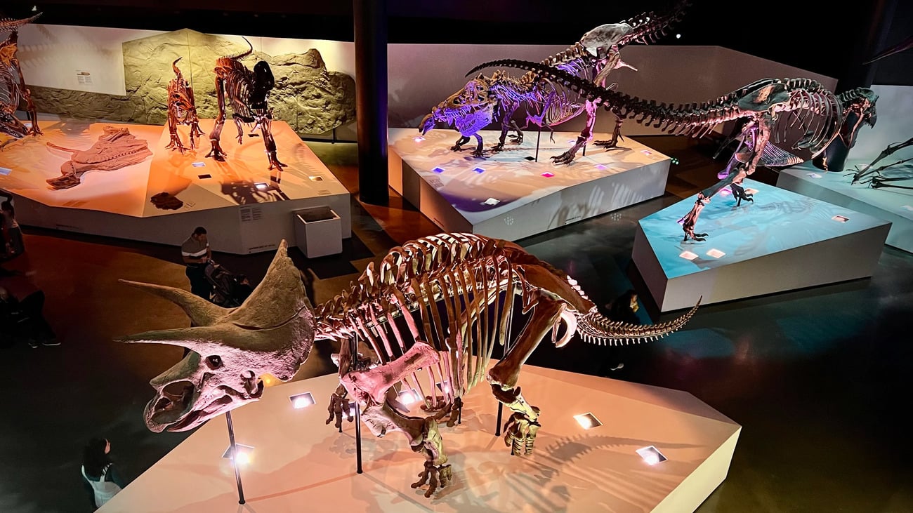 Museu de História Natural em Houston