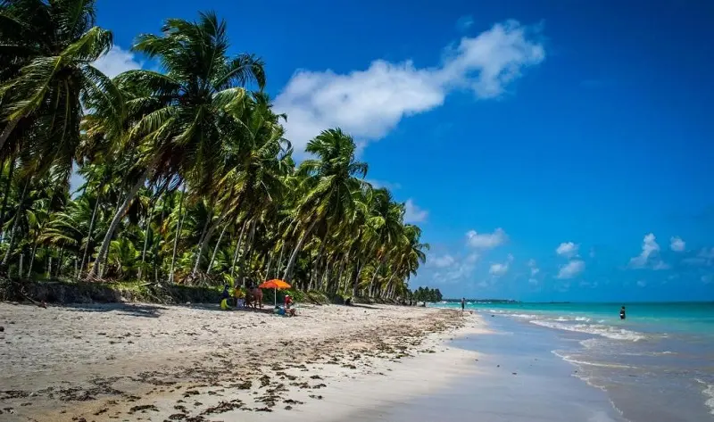 Beleza da praia do Peroba em Maragogi
