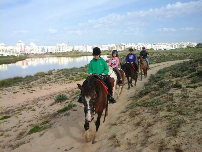 Passeio de charrete e cavalo nos Salgados