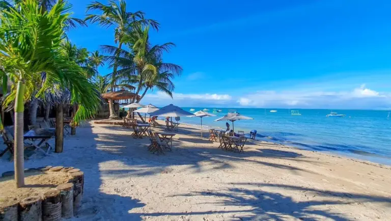 Dicas da praia Ponta do Mangue em Maragogi