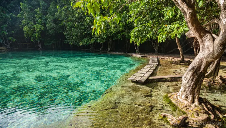 Tudo sobre a Emerald Pool em Krabi