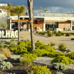 O que fazer em Olhão: 8 passeios e pontos turísticos!
