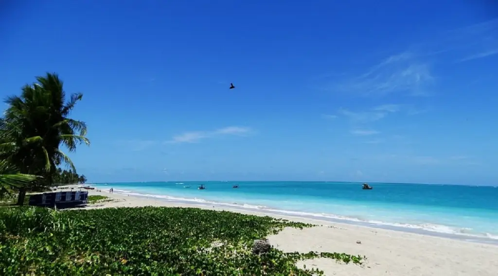 Praia de São Bento perto de Maragogi Praia de São Bento perto de Maragogi