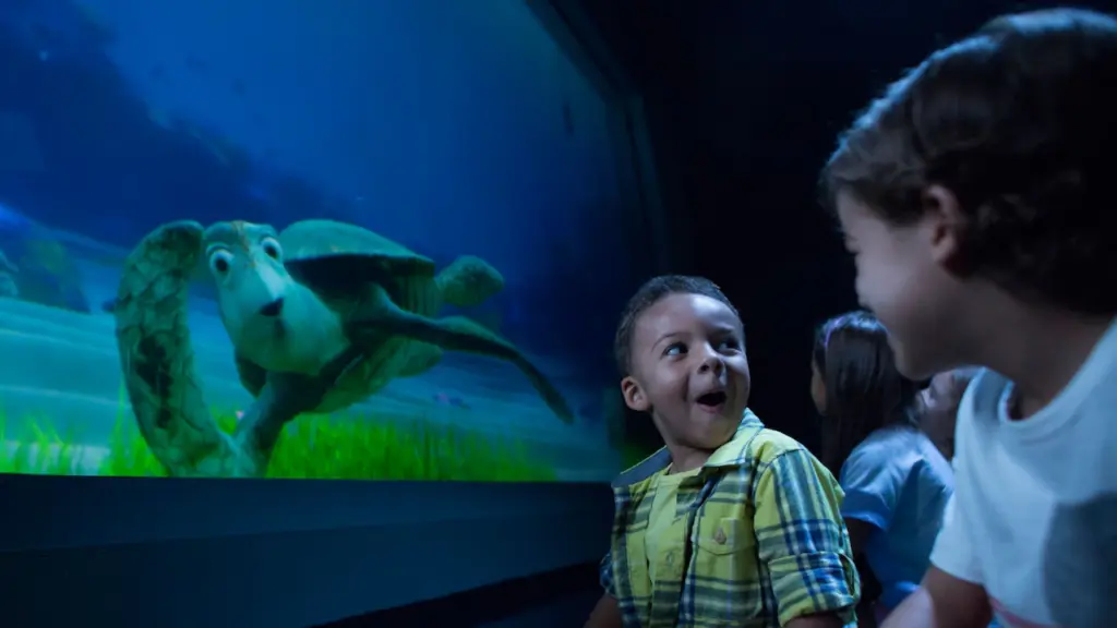 Turtle Talk with Crush