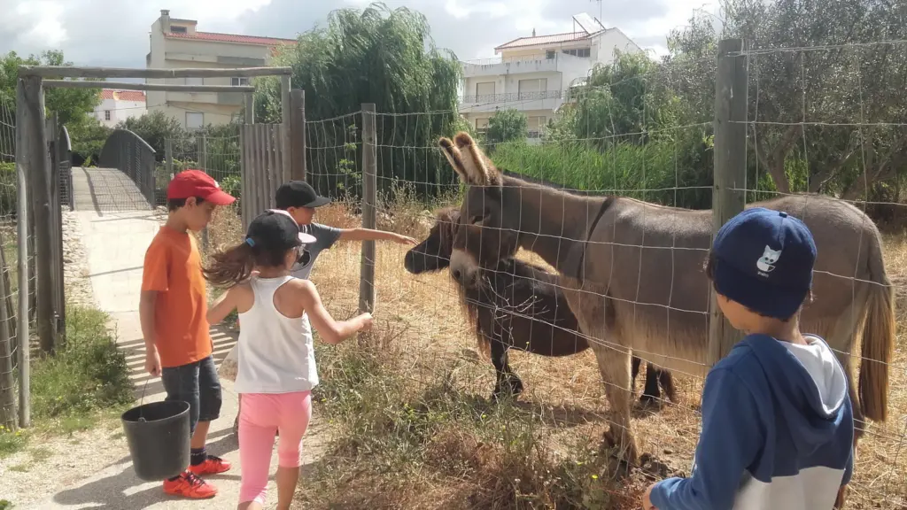 Quinta Pedagógica de Portimão