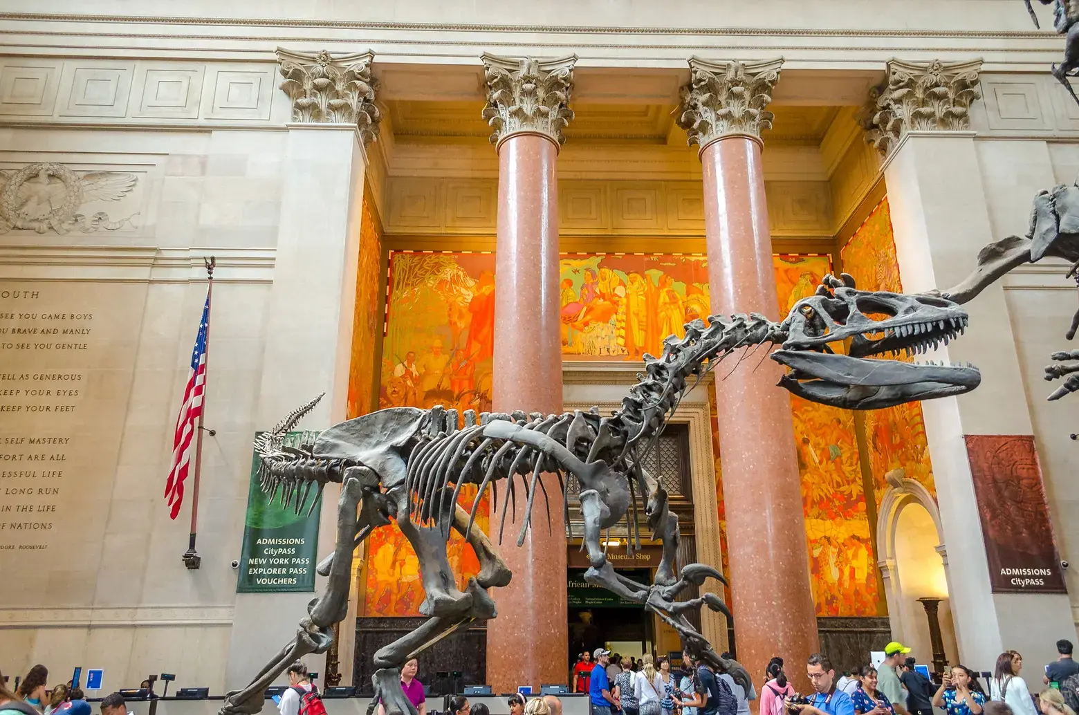 Museu de História Natural em Nova York