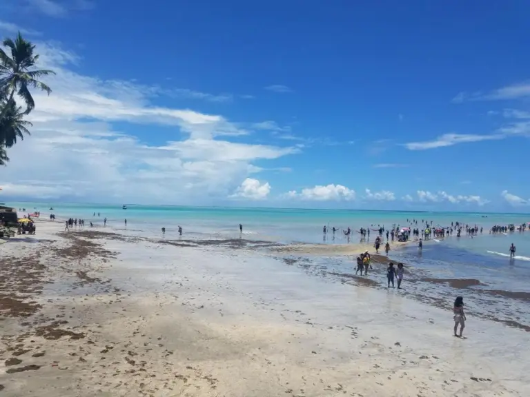 Sobre a praia de Barra Grande em Maragogi