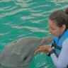 Nado com golfinhos em Punta Cana