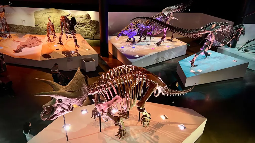Museu de História Natural em Houston