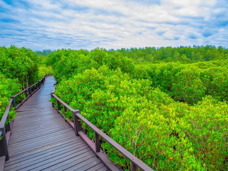 Pranburi Forest Park