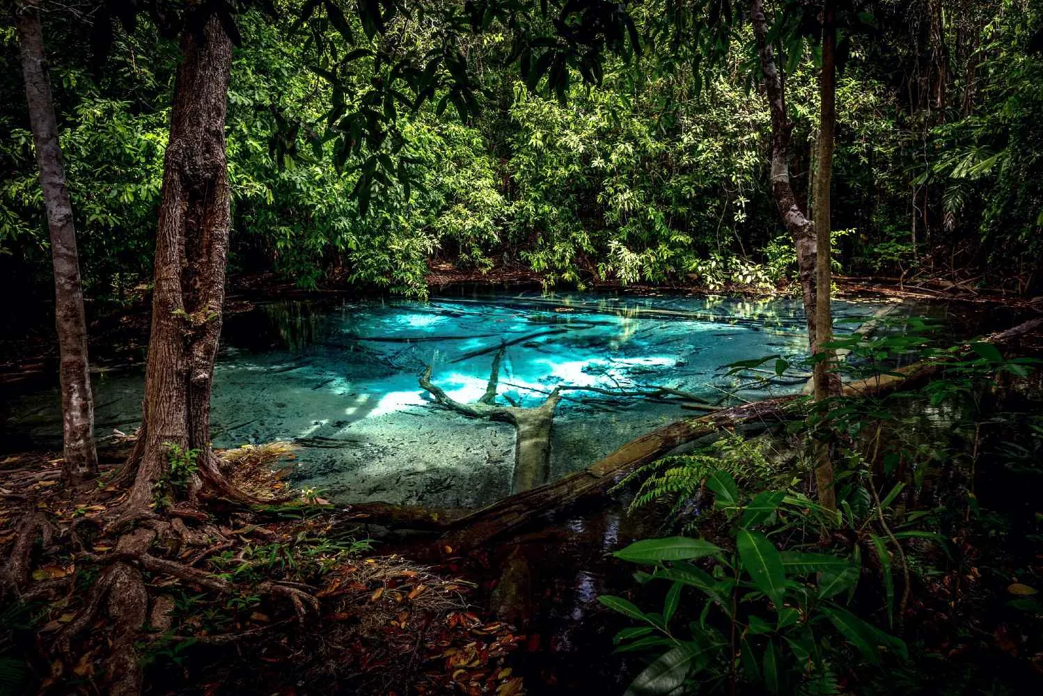 Blue Pool na Emerald Pool
