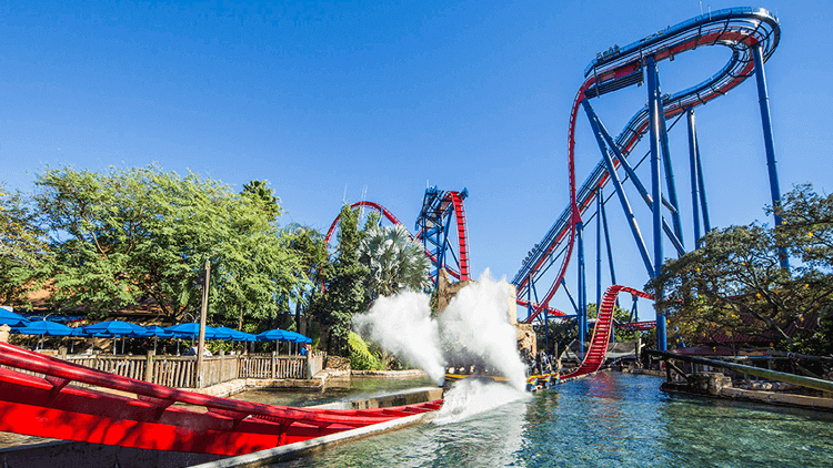 Montanha-russa Sheikra no Busch Gardens Montanha-russa Sheikra no Busch Gardens