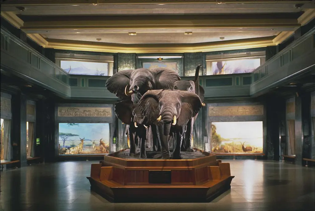 Museu de História Natural em Nova York