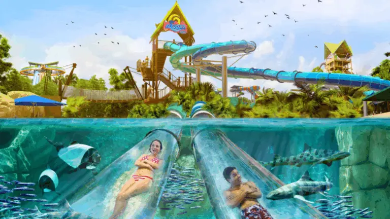 Guia do Parque Aquatica em Orlando