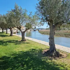 O que fazer em Silves: 8 passeios e pontos turísticos!