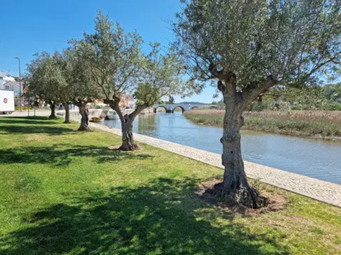 O que fazer em Silves: 8 passeios e pontos turísticos!