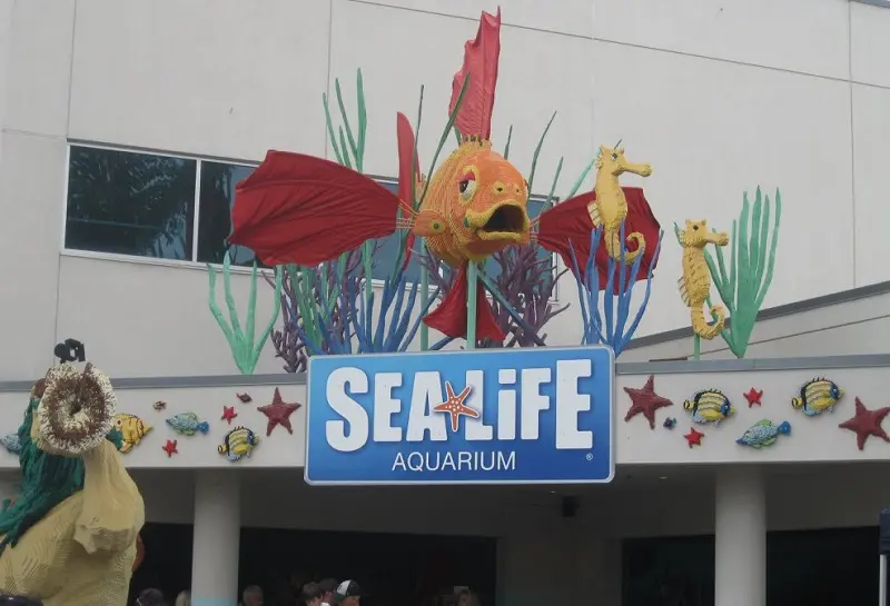 Sea Life Aquarium no Legoland California