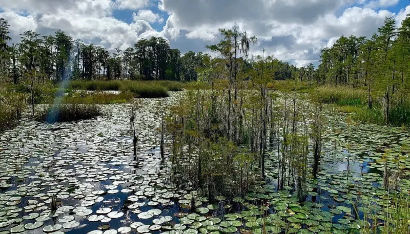 Tibet-Butler Nature Preserve em Orlando